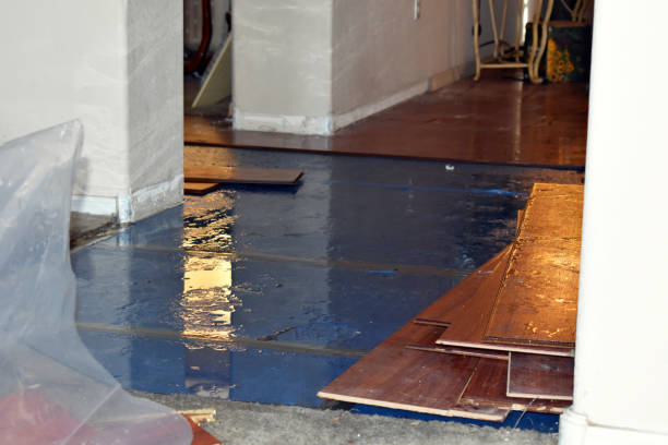 Professional Burst Pipe Cleanup technician working in Newberry, MI