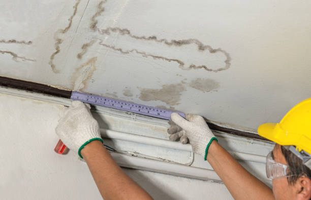 Reliable Burst Pipe Cleanup contractor in Newberry, MI by Water Damage Irwin